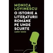 O istorie a literaturii romane pe unde scurte 1960–2000