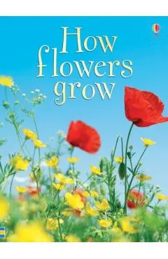 How Flowers Grow -