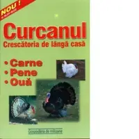 Curcanul - crescatoria de langa casa. Carne, pene si oua