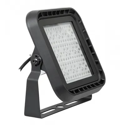 Proiector Led Profesional 100w Dimabil 1-10 V Dc 5000k Ip666
