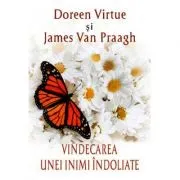 Vindecarea unei inimi indoliate