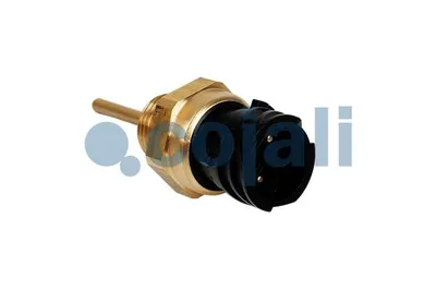 Senzor temperatura lichid racire (numar pini: 2, dimensiunea cheii: 27mm) potrivit DAF 85 CF, 95 XF, CF 75, CF 85, SB, XF 105, XF 95 6BT5.9-XF355M 01.74