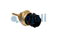 Senzor temperatura lichid racire (numar pini: 2, dimensiunea cheii: 27mm) potrivit DAF 85 CF, 95 XF, CF 75, CF 85, SB, XF 105, XF 95 6BT5.9-XF355M 01.74