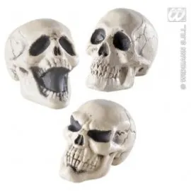 Decor Halloween - Craniu