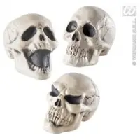 Decor Halloween - Craniu