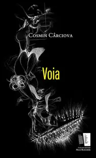 Voia - Paperback brosat - Cosmin Cârciova