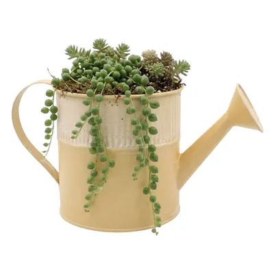 Ghiveci metalic stropitoare 13x25cm crem