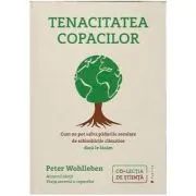 Tenacitatea copacilor. Cum ne pot salva padurile seculare de schimbarile climatice daca le lasam