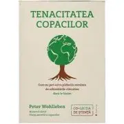 Tenacitatea copacilor. Cum ne pot salva padurile seculare de schimbarile climatice daca le lasam