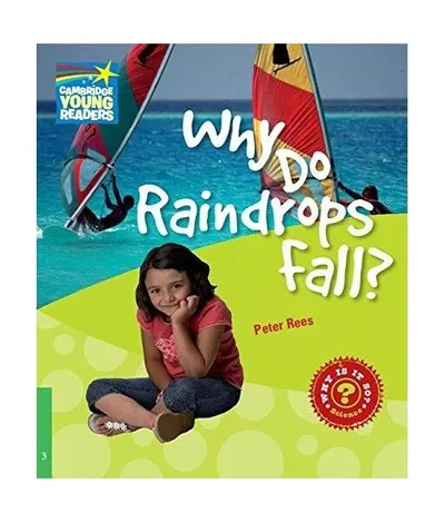 Why Do Raindrops Fall? Level 3 Factbook - Paperback brosat - Peter Rees