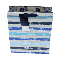Punga cadou M hartie male stripes