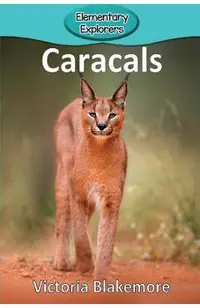 Caracals