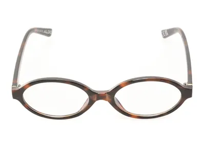 Ochelari de soare ALDO maro, NELLYYEX 240, din pvc