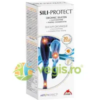 Artiprotect Sili-Protect 500ml