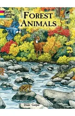 Forest Animals Coloring Book