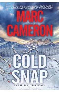 Cold Snap: An Action Packed Novel of Suspense