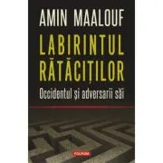 Labirintul ratacitilor. Occidentul si adversarii sai
