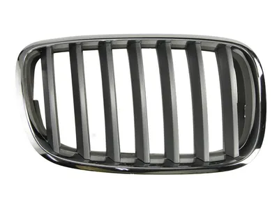 Grila radiator Dreapta potrivit BMW X5 (E70), X6 (E71, E72) 3.0-4.8 2006-2014 pana in 2014 - (argintiu/crom)