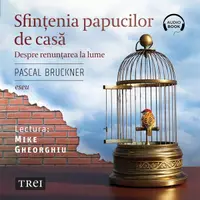 Sfințenia papucilor de casă. Despre renunțarea la lume - Audiobook