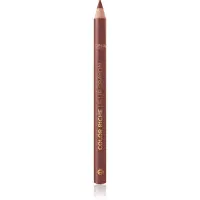 L’Oréal Paris Color Riche creion contur buze culoare 570 Worth It Int 1.2 g