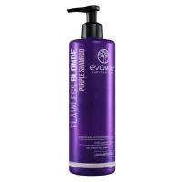 Sampon anti-yellow Silver Evoque Professional Flawless Blonde 400 ml
