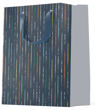 Sacosa de cadou S. Cool - linii colorate, L