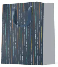 Sacosa de cadou S. Cool - linii colorate, L
