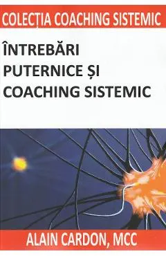 Intrebari puternice si coaching sistemic