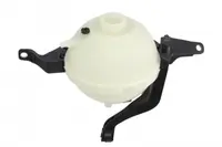 Vas expansiune racire potrivit BMW 5 (F10), 5 (F11), 5 GRAN TURISMO (F07) 11.09-02.17