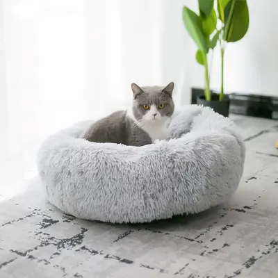 Culcuș pentru câini și pisici Jumi, 60 cm, gri