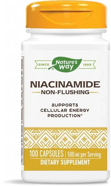 Niacinamide, 500 mg, 100 capsule, Nature's Way