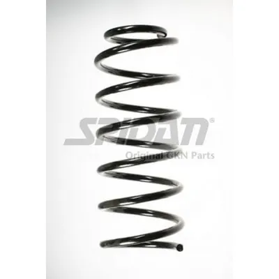Arc spiral SPIDAN 48536