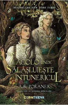 eBook Acolo unde salasluieste intunericul