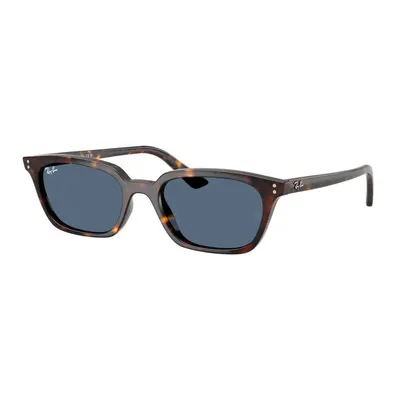 Ochelari de soare unisex Ray-Ban RB4456 135980