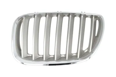 Grila radiator Stanga potrivit BMW X5 (E53) 3.0-4.8 2000-2006 pana in 2006 - (titan)