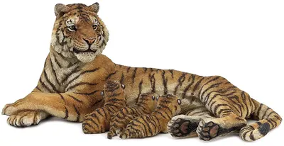 Figurină Papo Wild Animal Kingdom - Tigrul cu puii de tigru