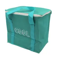 Geantă turcoaz termică cu pastilă de răcire