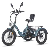 Tricicletă electrică FAFREES F20 Mate, baterie de 48V și 23.45Ah