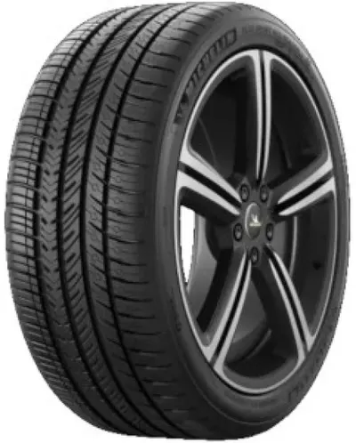 Michelin Pilot Sport A/S 4 ( 295/35 R20 105V XL EV Suitable, MO1 B )