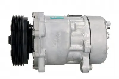 Compresor Clima Auto Aer Conditionat Potrivit Audi A3, Tt; Seat Alhambra, Cordoba, Ibiza Iii; Skoda Fabia I, Fabia I Praktik, Octavia I; Vw Bora, Bora I, Caddy Ii, Caddy Ii Minivan, Golf Iv 1.0-3.2 02