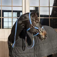 Longe Kentucky din nylon tressé