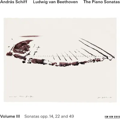 Ludwig van Beethoven: The Piano Sonatas, Volume III - Sonatas Opp. 14, 22 And 49