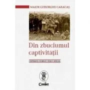 Din zbuciumul captivitatii. Centenarul Primului Razboi Mondial