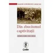 Din zbuciumul captivitatii. Centenarul Primului Razboi Mondial