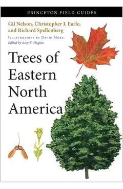 Trees of Eastern North America