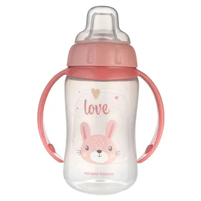 Cana de tranzitie cu duza silicon si manere Canpol 6 luni + 320 ml Roz