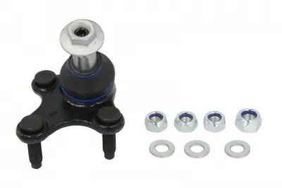 Pivot axa Dreapta (fata) (diametru con 15,2mm) potrivit AUDI A3, A3 ALLSTREET, Q2, Q3; CUPRA ATECA, FORMENTOR, LEON, LEON SPORTSTOURER; SEAT ALHAMBRA, ATECA, LEON, LEON SC 1.0-3.6 08.04