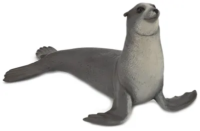 Figurina Papo Marine Life – Leu de mare
