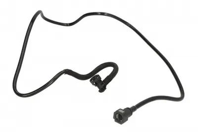 Furtun Combustibil Potrivit Dacia Dokker, Duster, Lodgy, Sandero; Renault Clio Ii, Clio Iii, Kangoo, Kangoo Express, Laguna Ii, Laguna Iii, Megane Ii, Scenic Ii, Scenic Iii, Thalia I 09.98