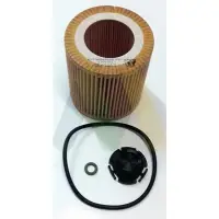 Filtru ulei MOTAQUIP LVFL795